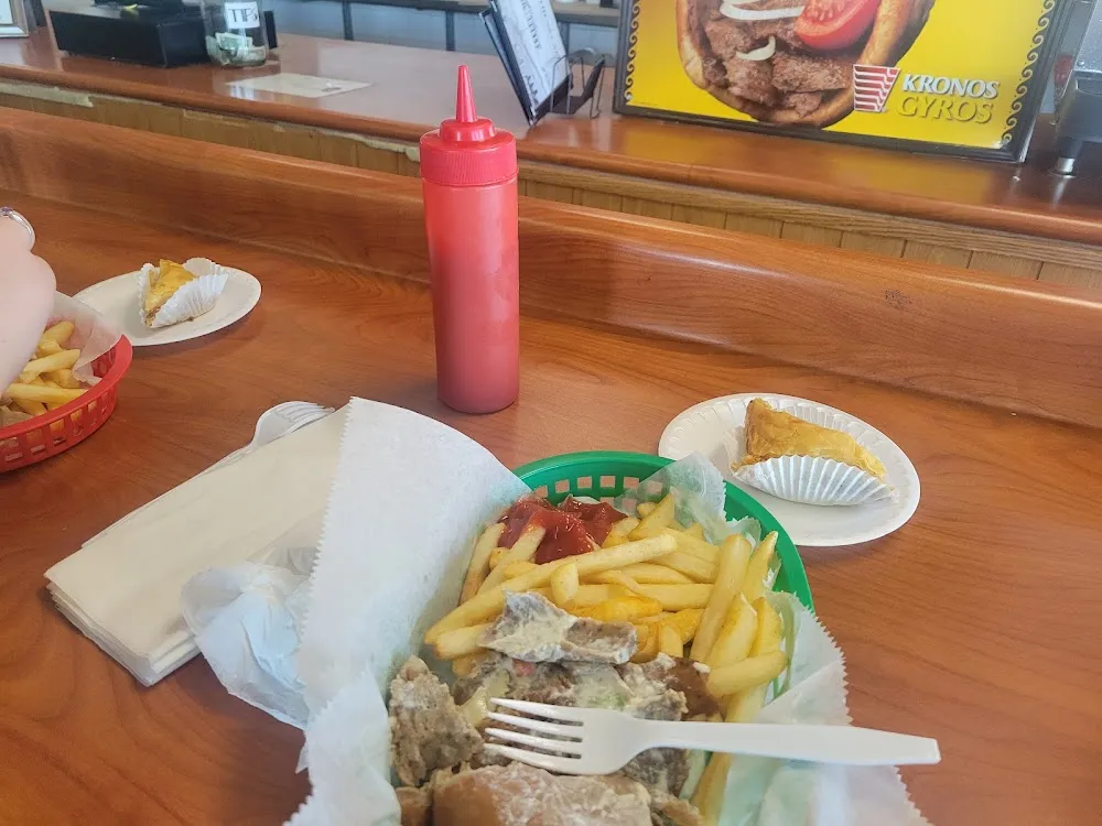 Gyro Lunch Special